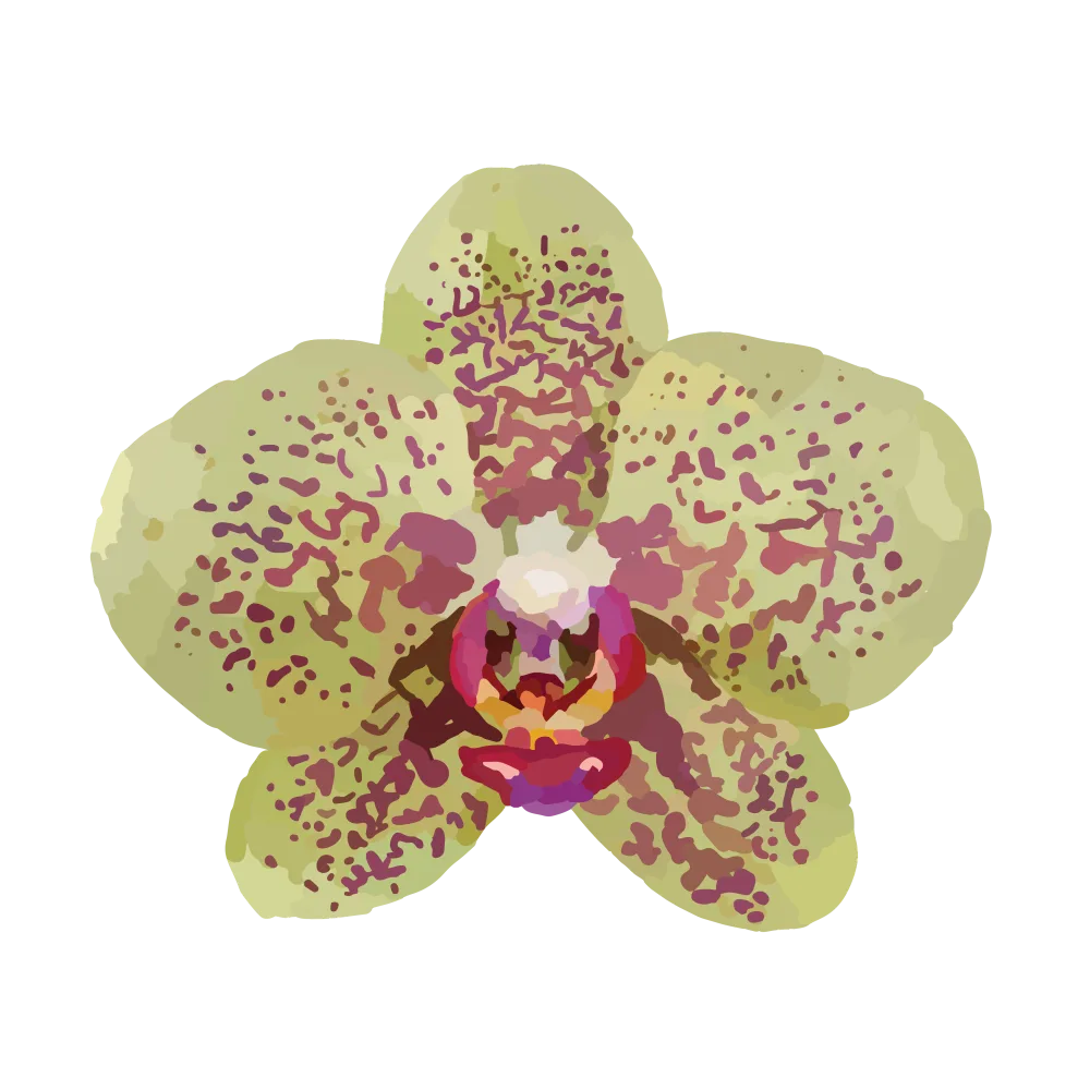 Green Orchid Icon